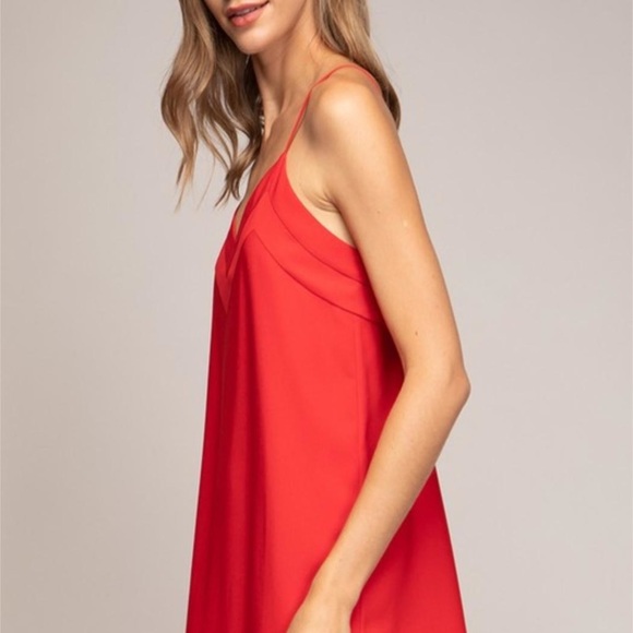 Naked Zebra Last Call  STRAPPY MINI PANELED DETAILED SHIFT DRESS in bronze - Picture 3 of 11